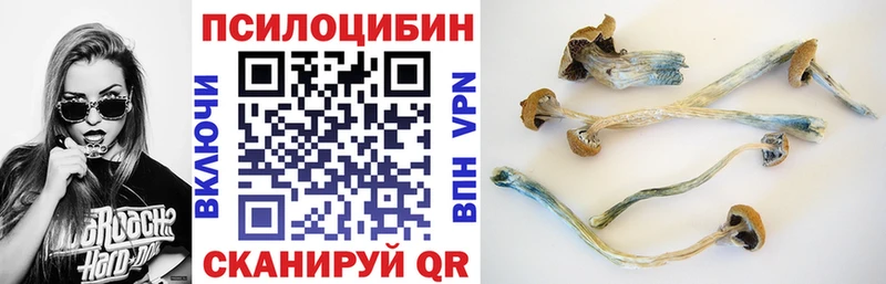 ОМГ ОМГ ССЫЛКА Бахчисарай Псилоцибиновые грибы Magic Shrooms