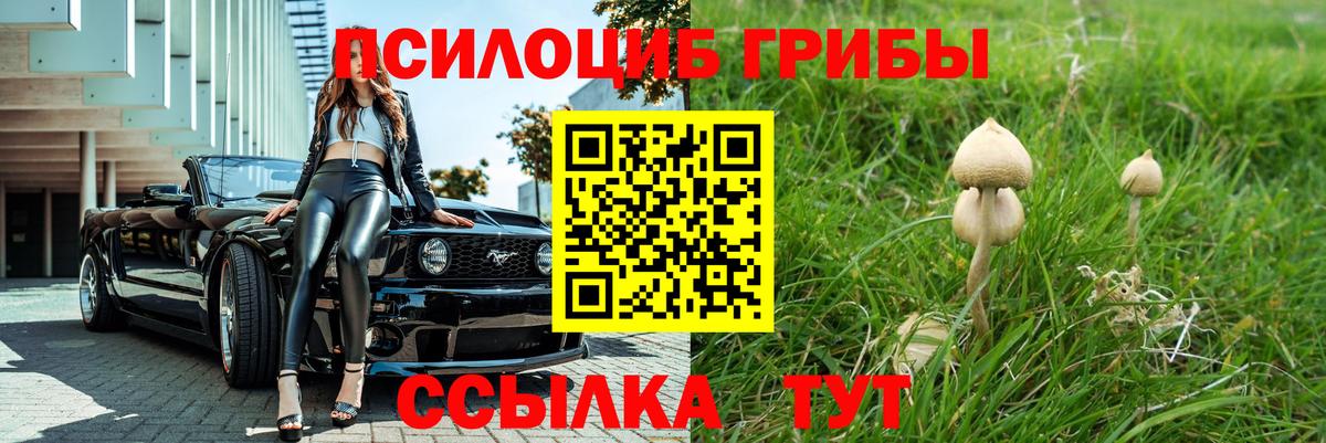 Бахчисарай  Псилоцибиновые грибы прущие грибы  Вход с VPN 